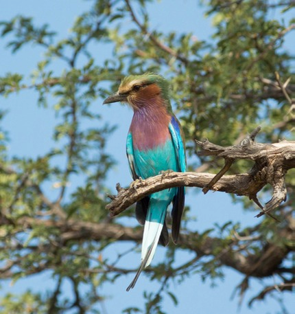 Pictures for Chris-28